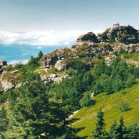 Alpenluxe Apartment *