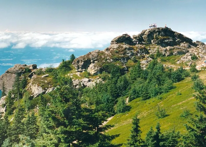 Alpenluxe Apartament *